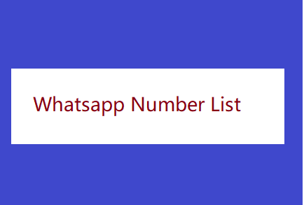 Whatsapp Number List